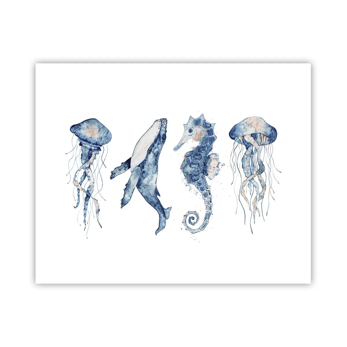 Pôster - Maravilhas do mar - 50x40 cm