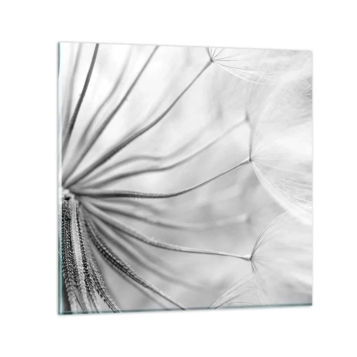 Quadro em vidro - Dentes de leão, pipas - 40x40 cm