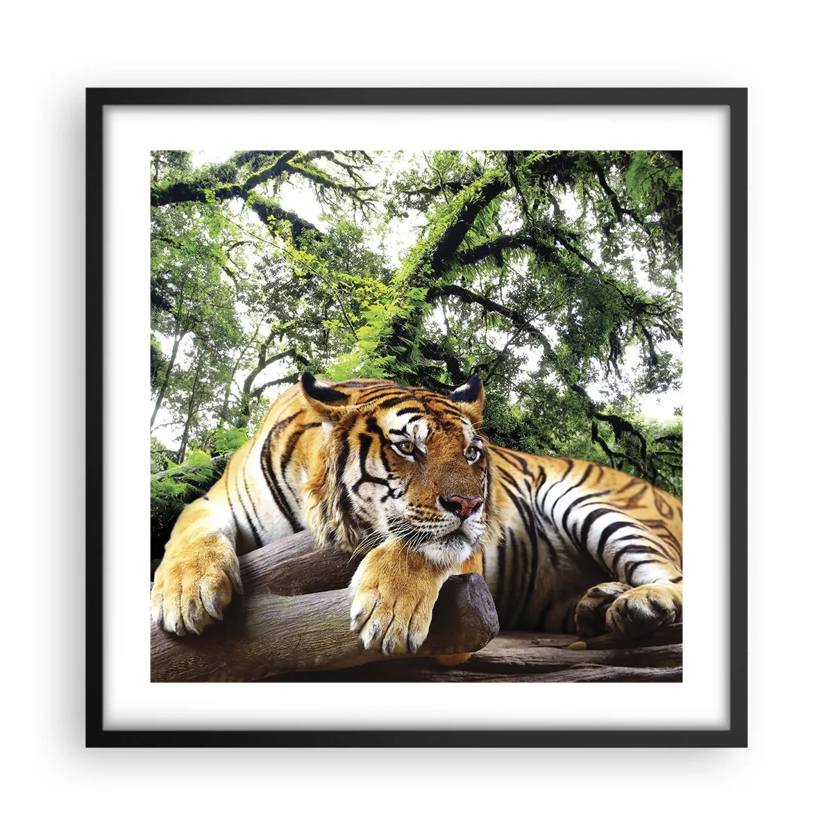 Pôster com moldura preta - Com os melhores cumprimentos - 50x50 cm