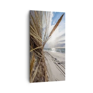 Quadro em tela - Reunião dos rlementos da natureza - 55x100 cm