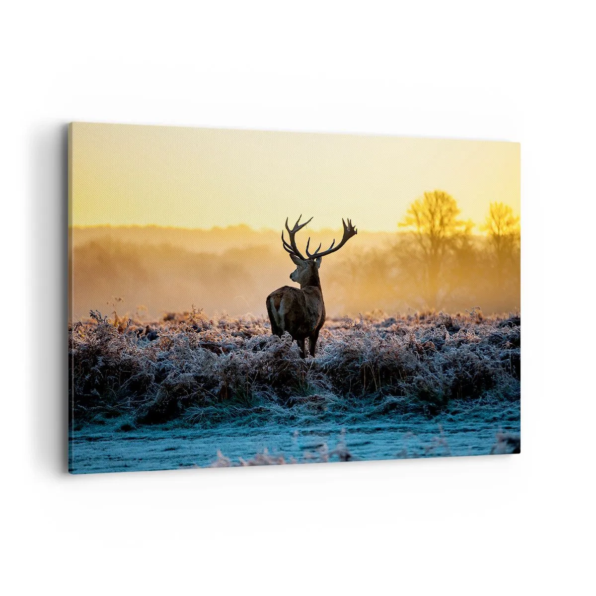 Quadro em tela - Coroado em sua terra - 100x70 cm