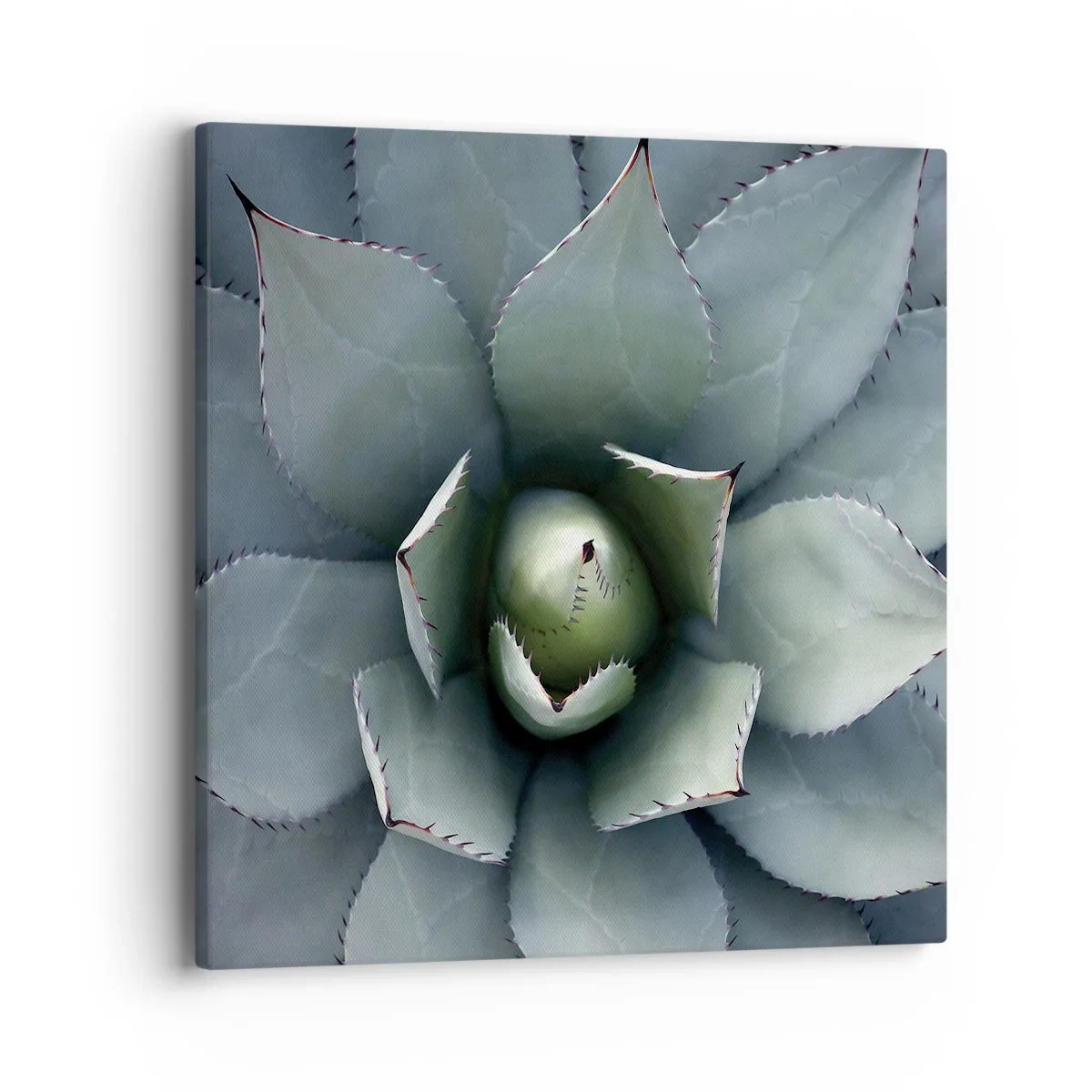 Quadro em tela - Atrai e adverte - 40x40 cm