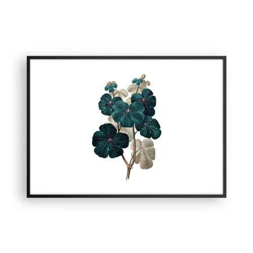 Pôster com moldura preta - Do antigo herbário - 100x70 cm