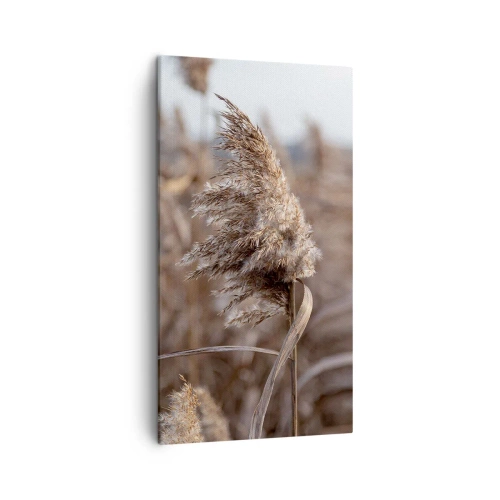 Quadro em tela - É hora de voar com o vento - 45x80 cm