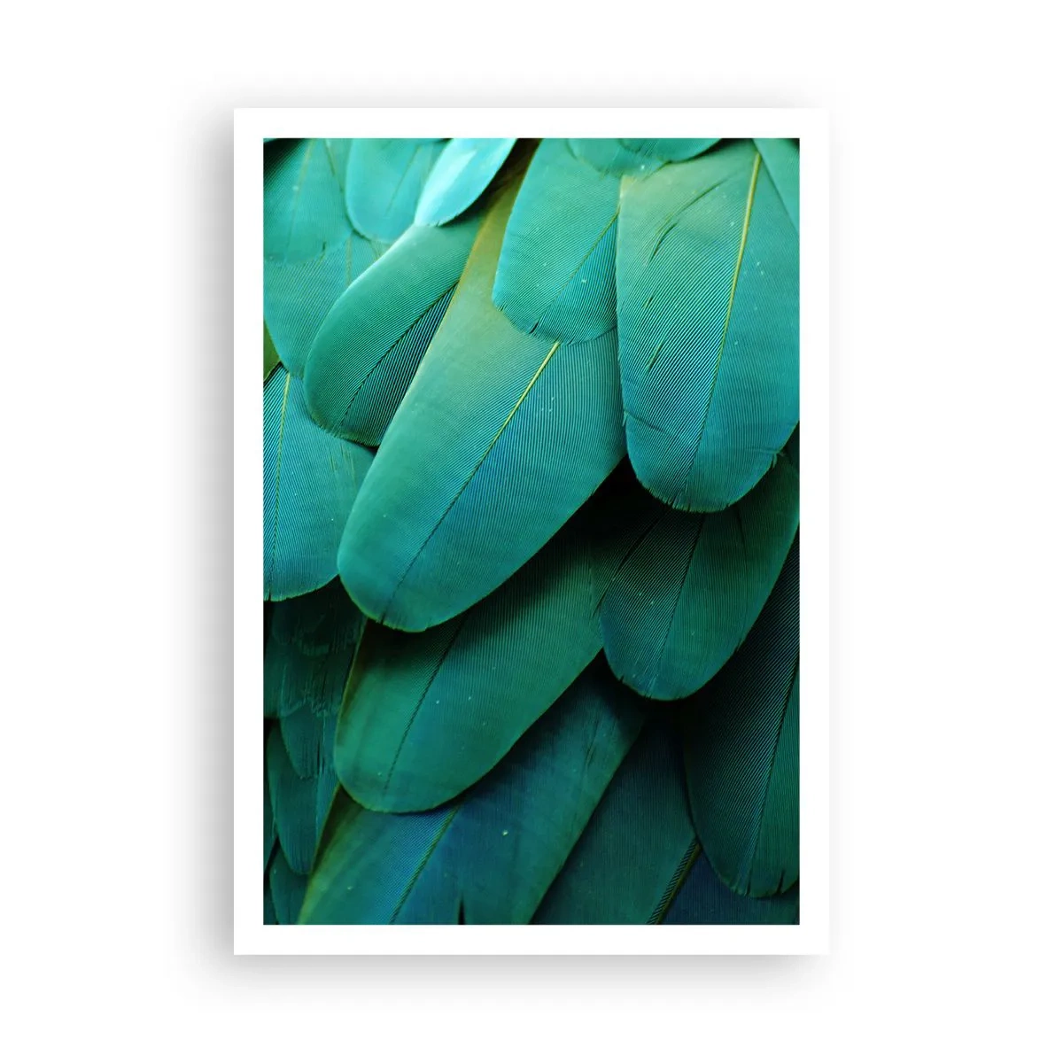 Pôster - Precisão de papagaio - 70x100 cm