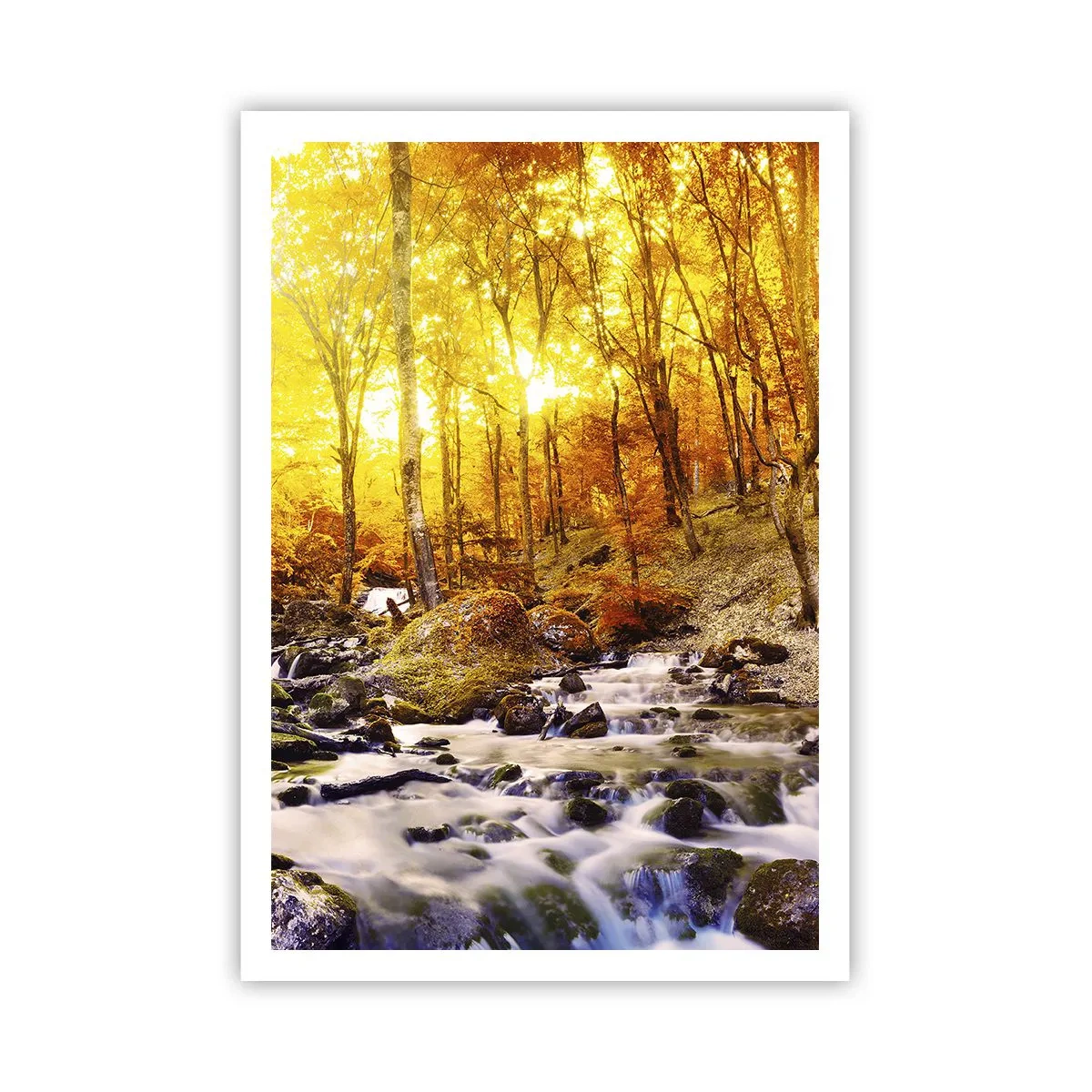 Pôster - Pedras emolduradas em ouro e platina - 70x100 cm