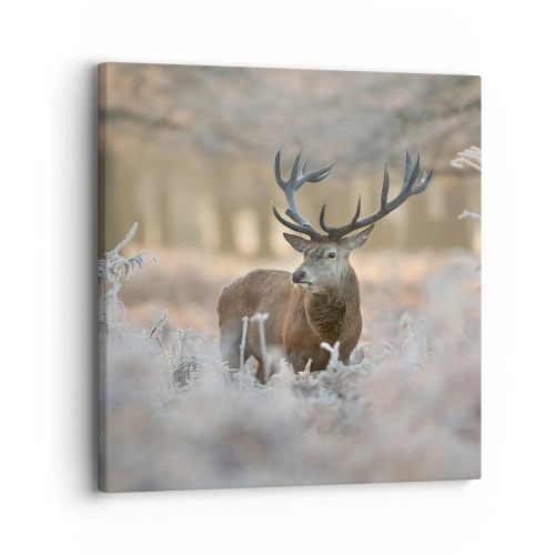 Quadro em tela - Uma manhã fresca - 30x30 cm