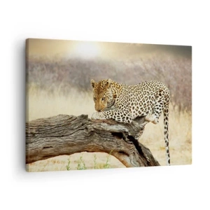 Quadro em tela - Um leopardo descansando no tronco de uma árvore na savana - 70x50cm - Eu sigo o meu próprio caminho - Decoração de parede moderna para a sala de estar e quarto ARTTOR