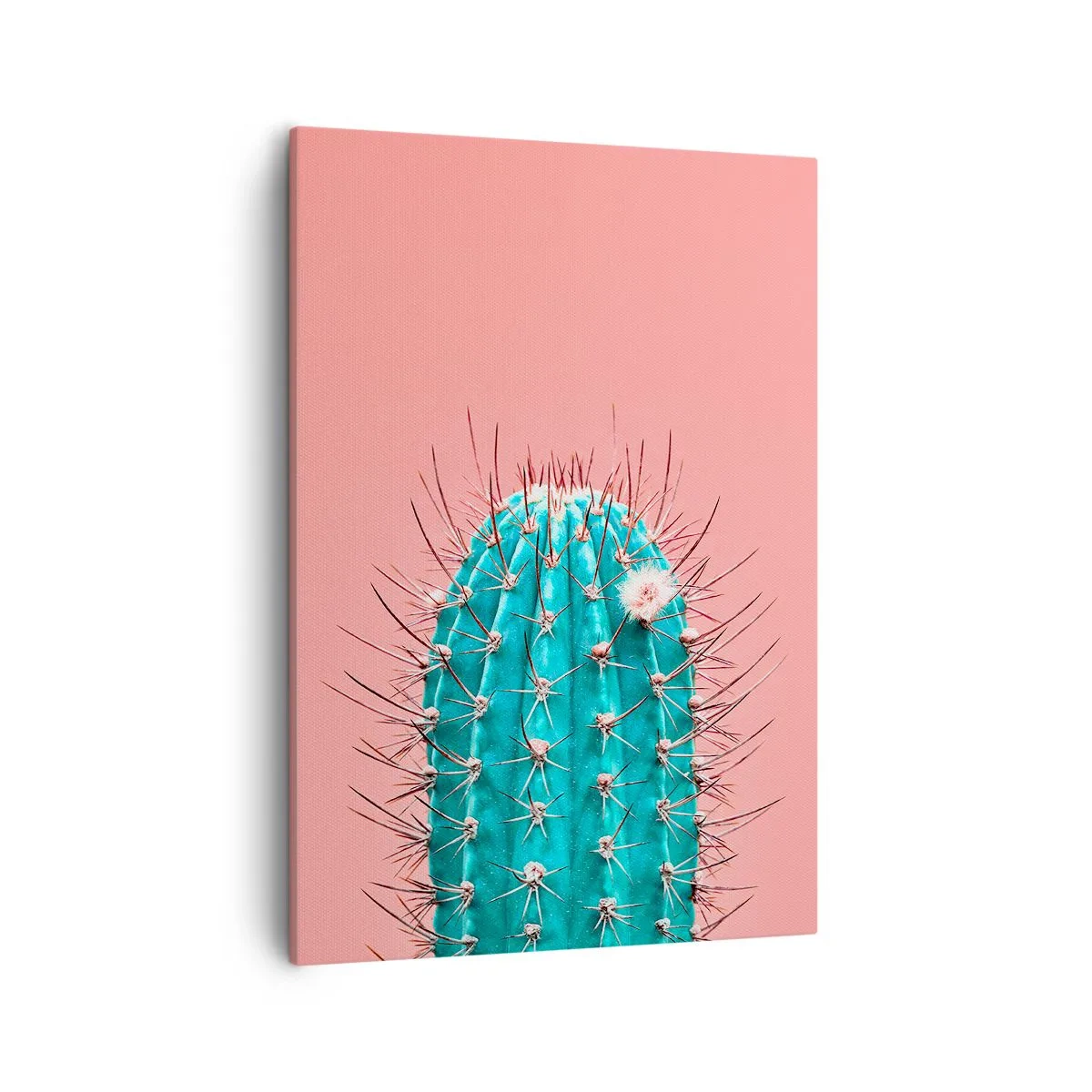 Quadro em tela - Apenas olhe - 50x70 cm