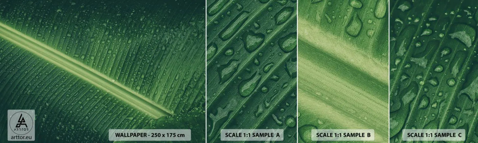 Amostra de papel de parede autocolante Deluxe Sticker - A estrutura da vegetação - Folha verde, Planta tropical, Pedaço - 100x30 cm