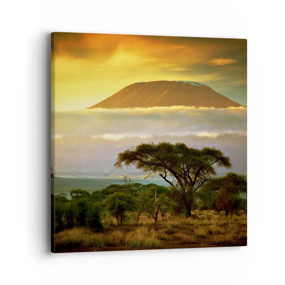 Quadro em tela - O sonho do viajante - 40x40 cm