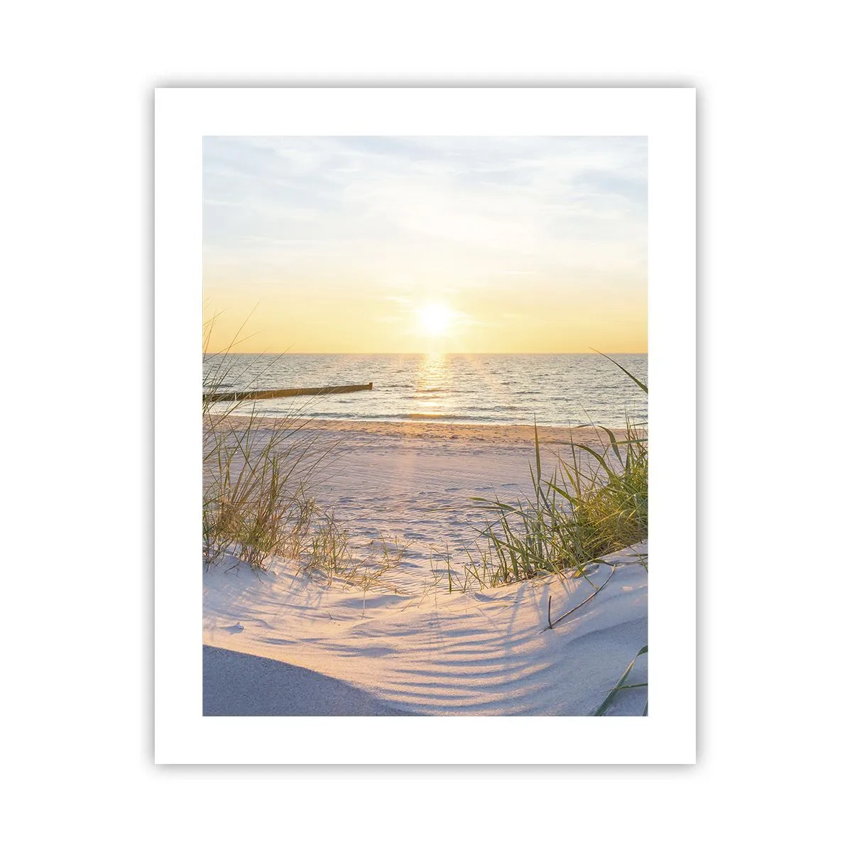 Pôster - O som do mar, o canto dos pássaros, a praia selvagem entre a relva... - 40x50 cm