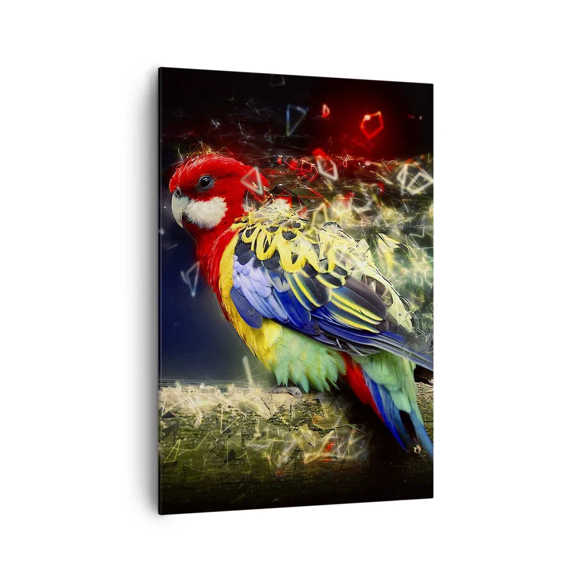 Quadro em tela - O mensageiro do Brilho - 70x100 cm