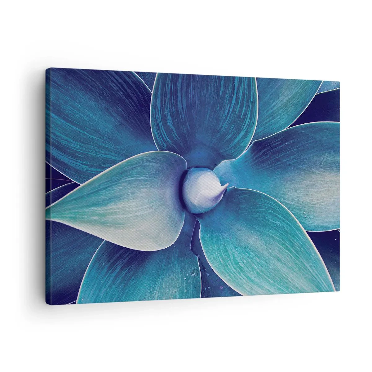 Quadro em tela - Close-up de uma flor abstrata em tons de azul - 70x50cm - O azul do céu - Decoração de parede moderna para a sala de estar e quarto ARTTOR