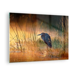 Quadro em vidro - Pôr do sol sobre um lago com uma garça - 70x50cm - Já chega de fotos - Decoração de parede moderna para a sala de estar e quarto ARTTOR