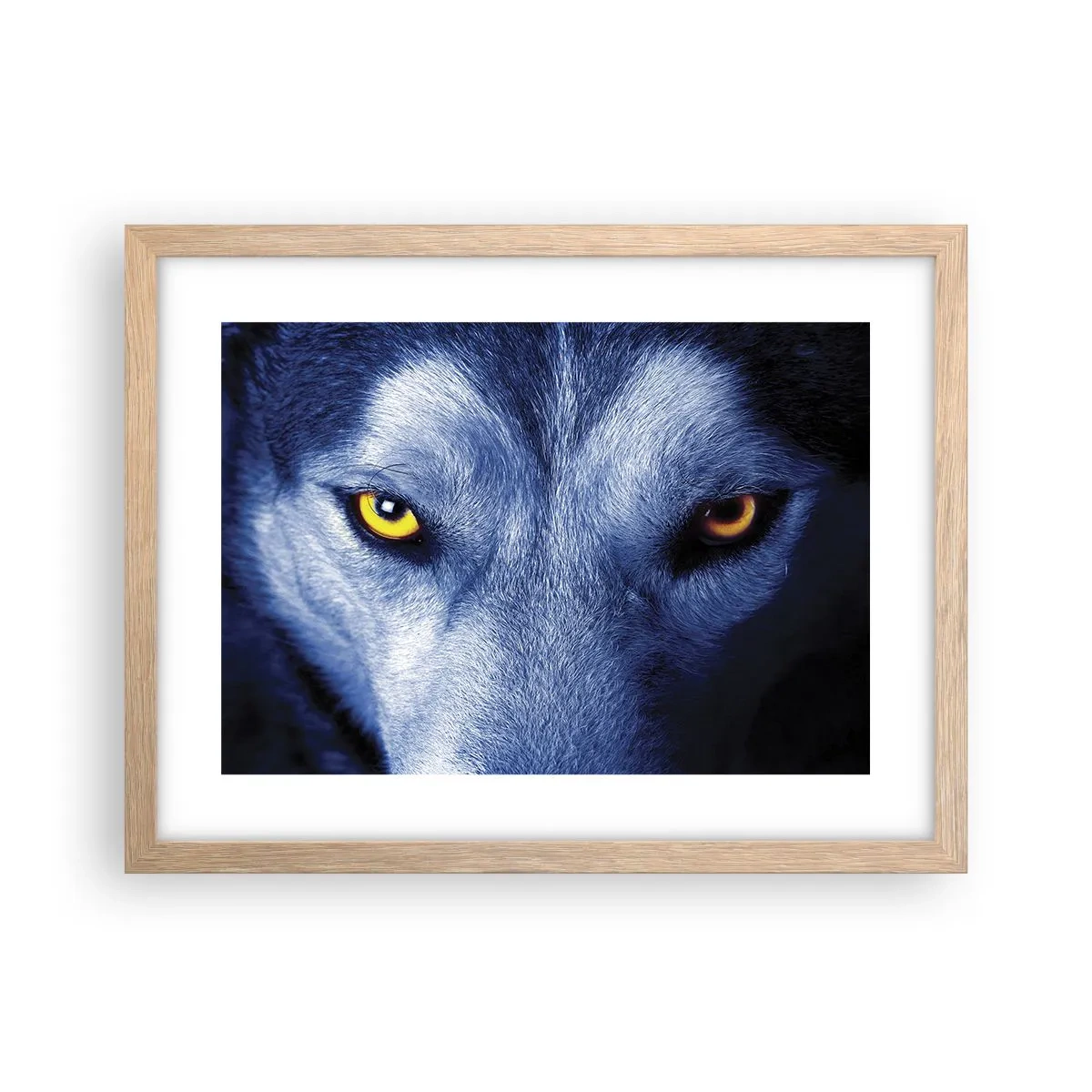 Pôster com moldura de carvalho claro - Olhar hipnotizante - 40x30 cm