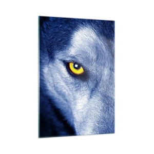 Quadro em vidro - Olhar hipnotizante - 50x70 cm