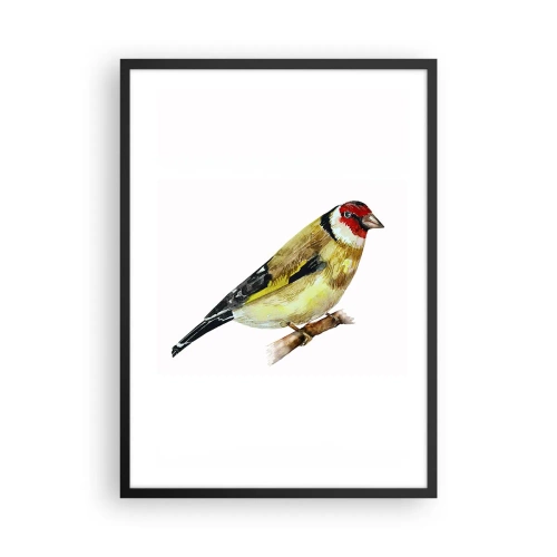 Pôster com moldura preta - Pintassilgo em um galho em estilo aquarela - 50x70cm - Retrato de um pássaro - Decoração de parede moderna para a sala de estar e quarto ARTTOR