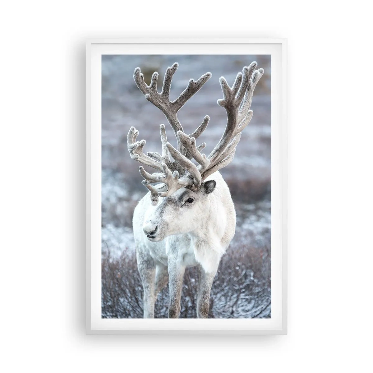 Pôster em moldura branca - Retrato ao sol - 61x91 cm