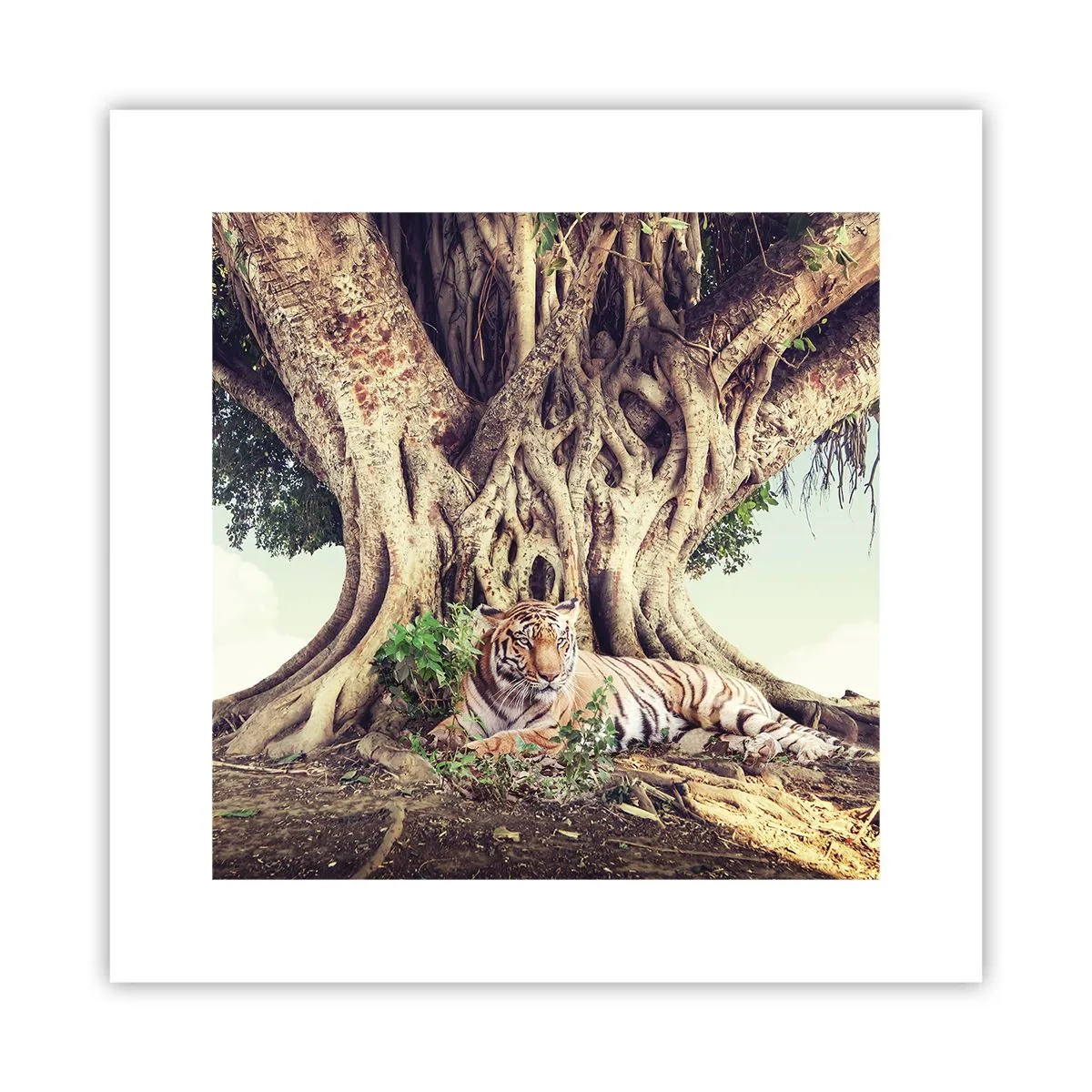 Pôster - Vista do livro de Gênesis - 30x30 cm