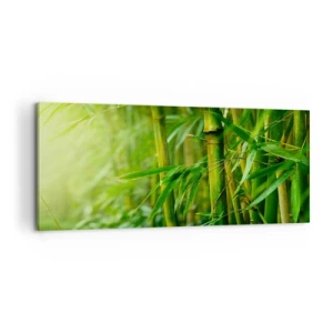 Quadro em tela - Conheça a vegetação  - 100x40 cm