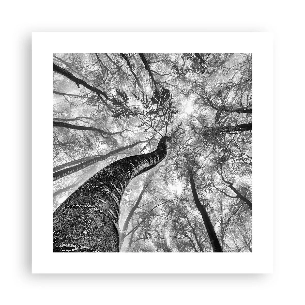 Pôster - Corrida até a luz - 40x40 cm