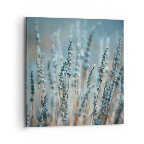 Quadro em tela - Prado perfumado - 70x70 cm