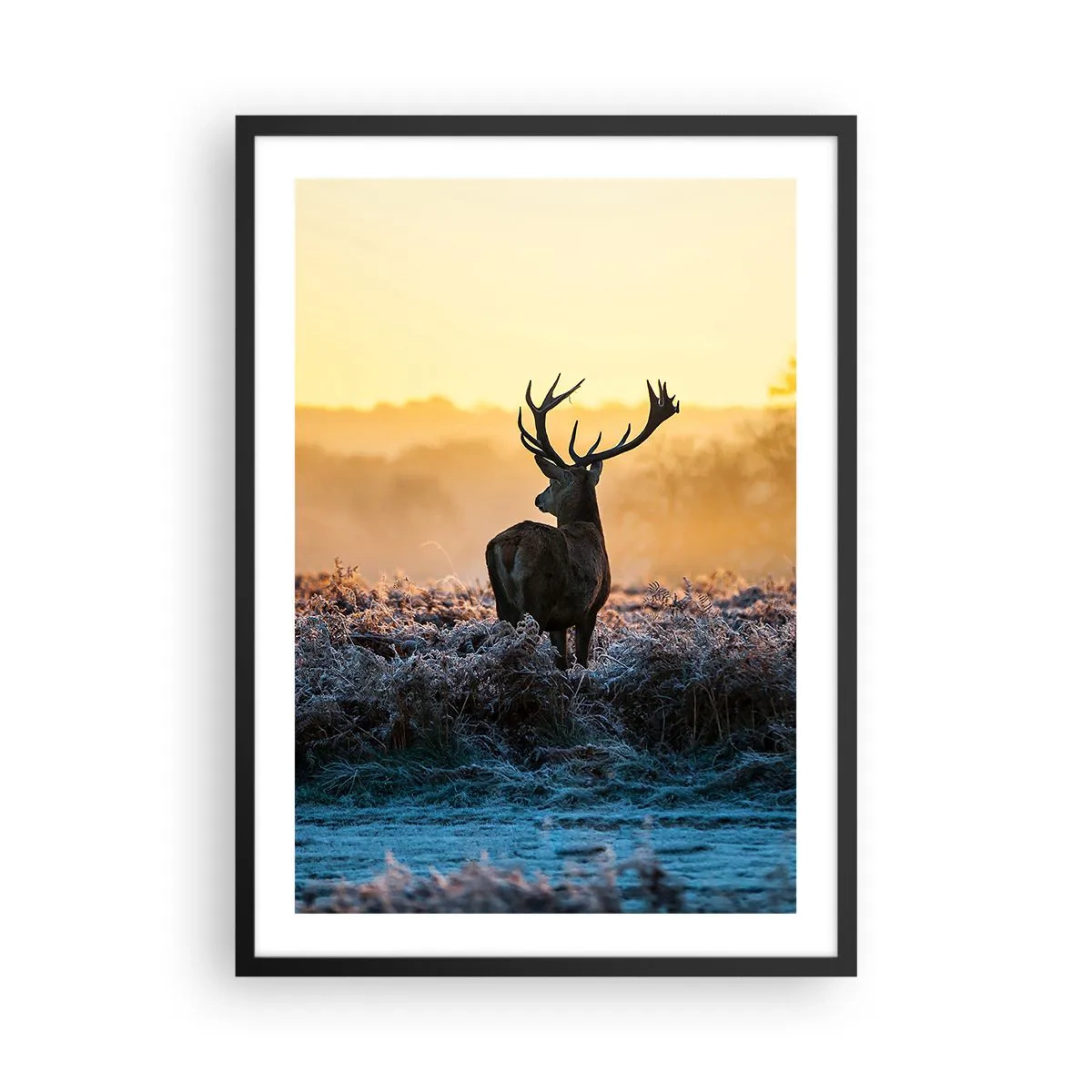 Pôster com moldura preta - Um veado em uma clareira gelada ao nascer do sol - 50x70cm - Coroado em sua terra - Decoração de parede moderna para a sala de estar e quarto ARTTOR