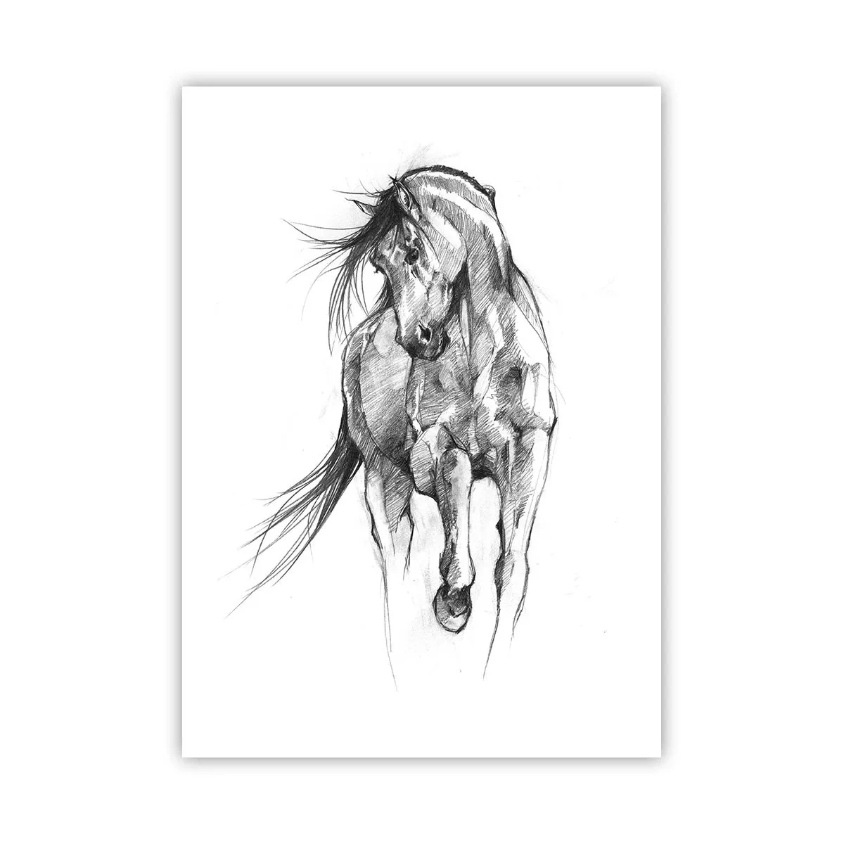 Pôster - Num trote gracioso - 50x70 cm
