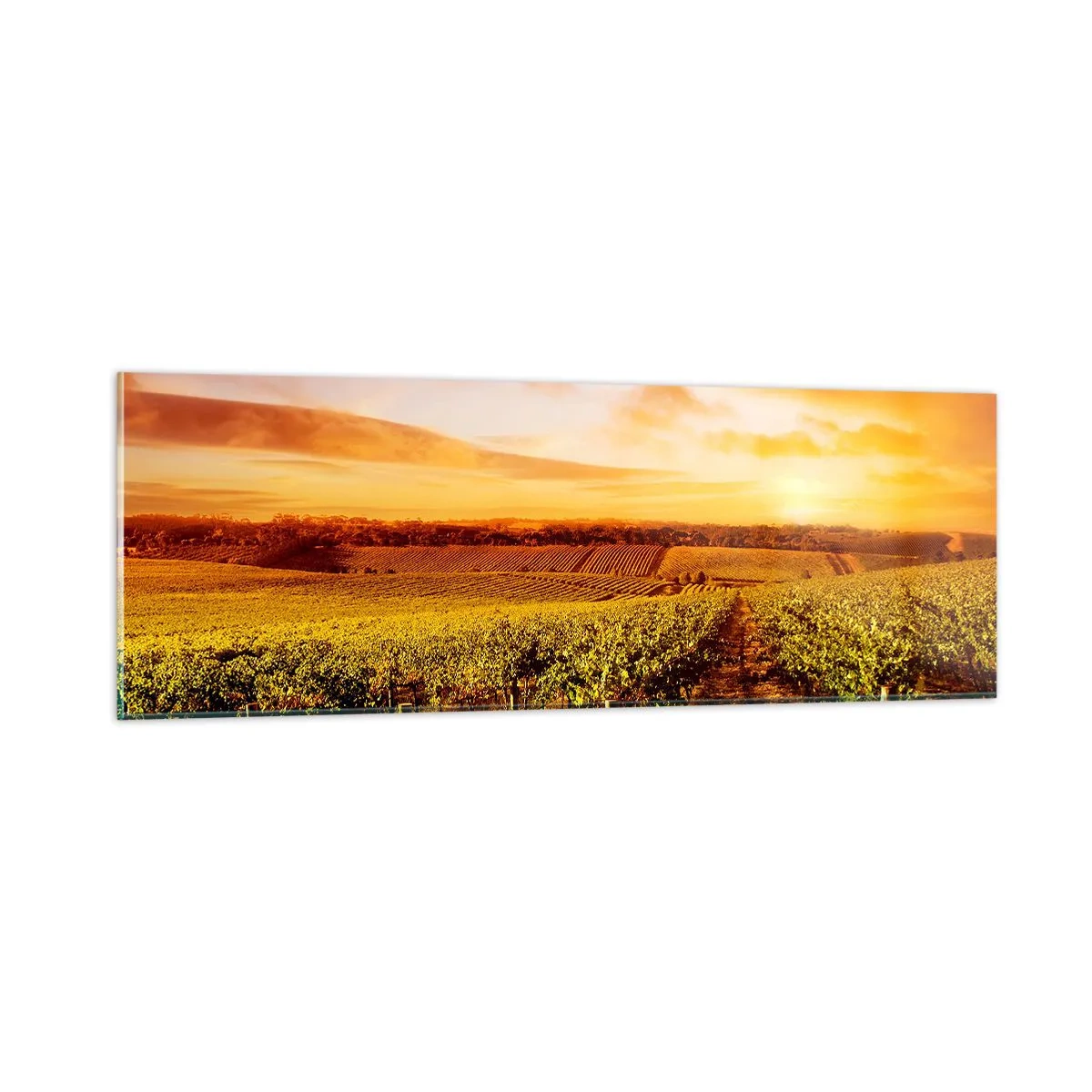 Quadro em vidro - Delicadamente frutado com um toque de sol - 90x30 cm