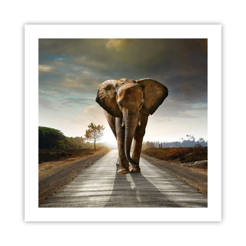 Pôster - Não faz parte da composição da porcela - 50x50 cm