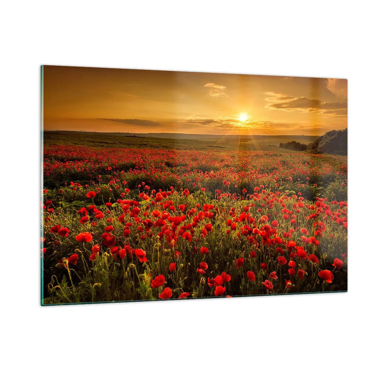 Quadro em vidro - Entre o farfalhar da onda de prados, entre o dilúvio das flores - 120x80 cm