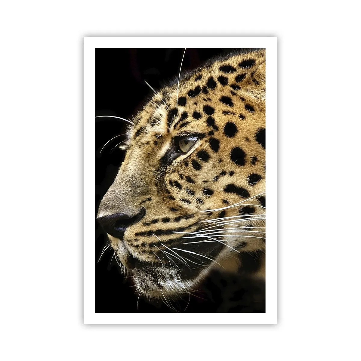 Pôster - Calmo, focado, pronto - 61x91 cm