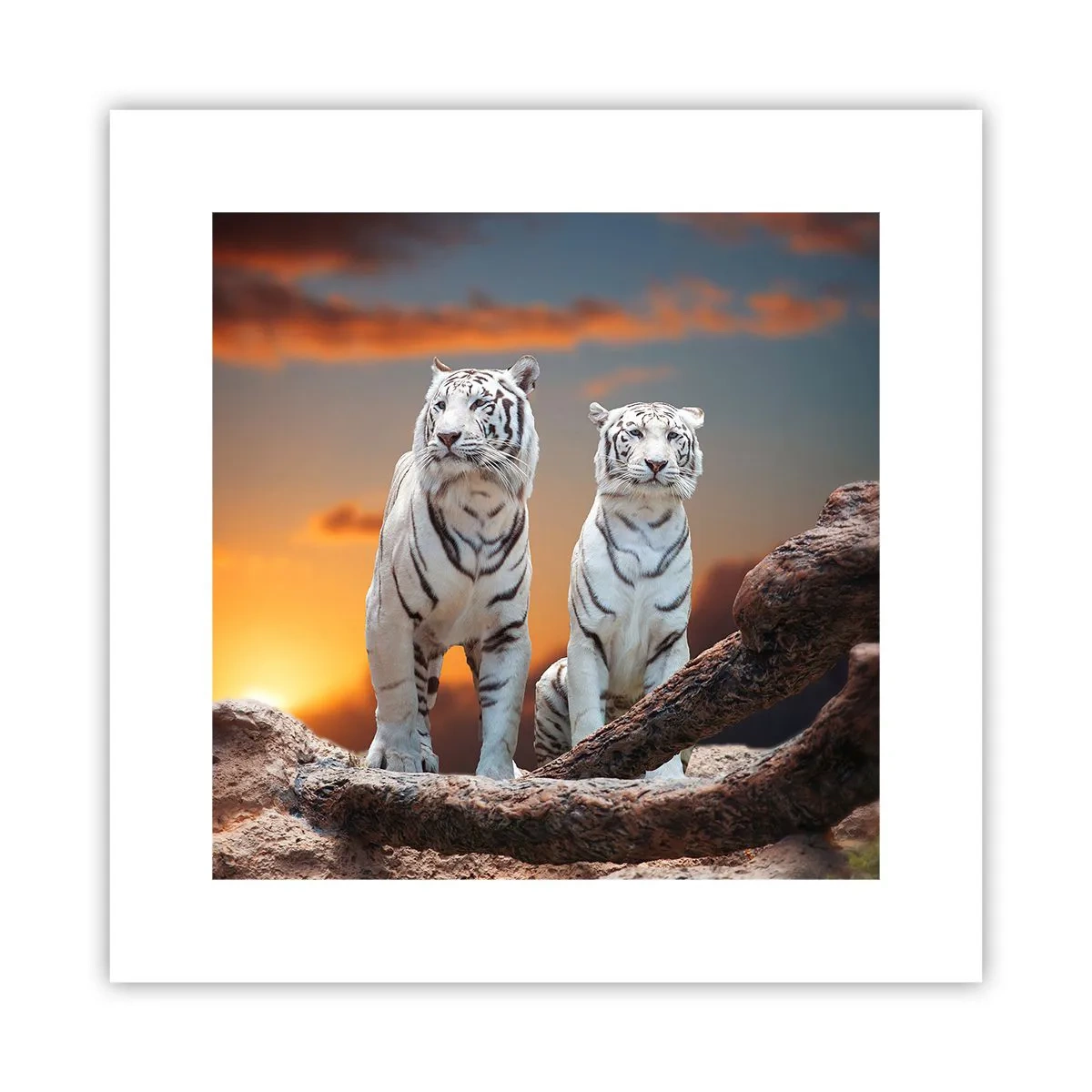 Pôster - Tal como em Nárnia - 30x30 cm