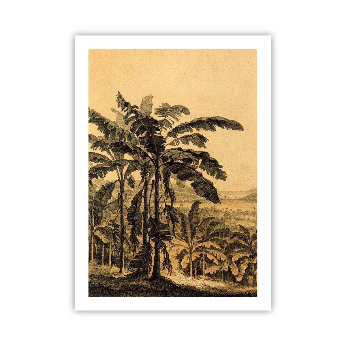 Pôster - num clima colonial - 50x70 cm
