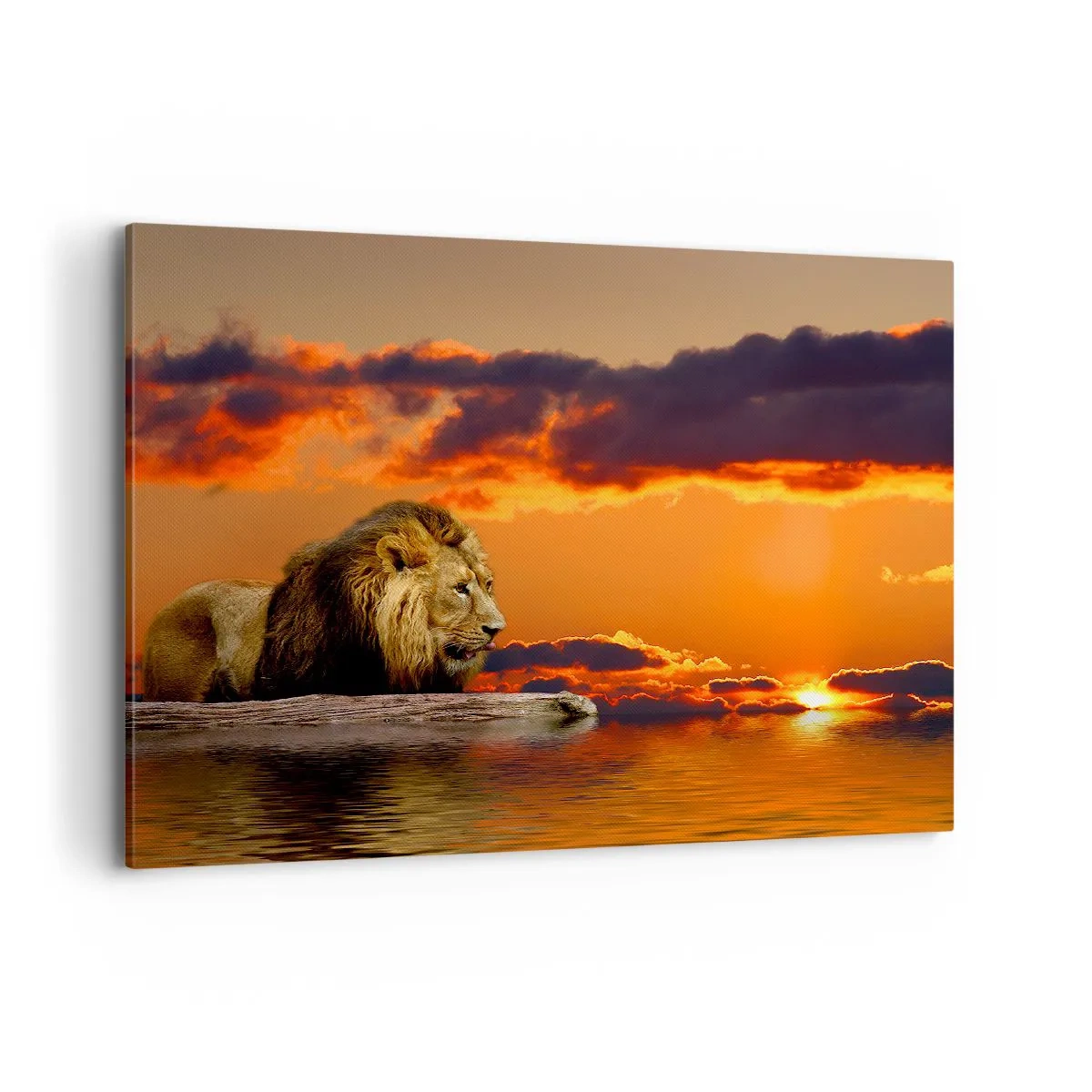 Quadro em tela - Rei da natureza - 100x70 cm