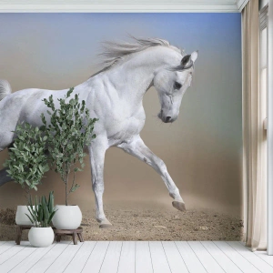 Papel de Parede Premium Sand - O mais belo conto de fadas árabe - Cavalo, Animais, Galope - 100x70 cm