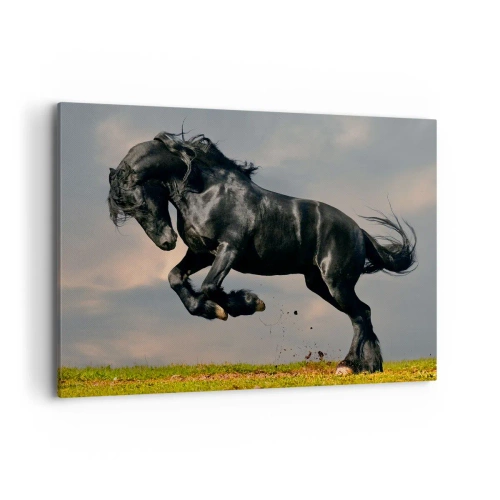 Quadro em tela - Bonito e lento - 100x70 cm