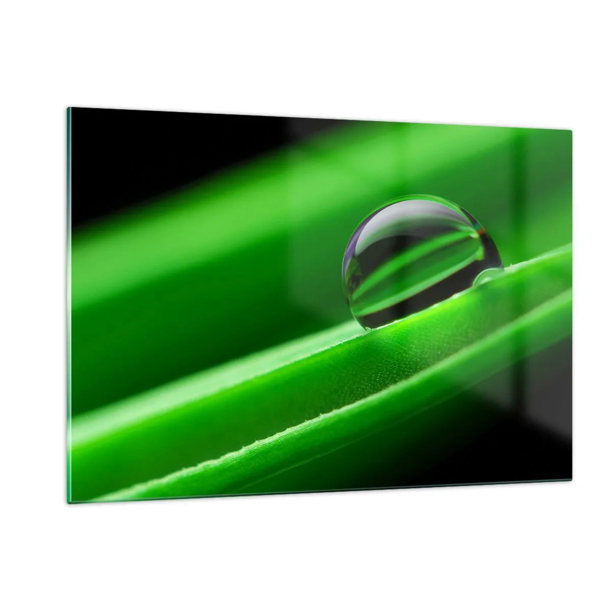 Quadro em vidro - A vida de perto - 120x80 cm