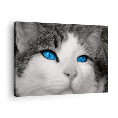 Quadro em tela - Retrato de um gato com olhos azuis em estilo preto e branco - 70x50cm - Raridade de olhos azuis - Decoração de parede moderna para a sala de estar e quarto ARTTOR