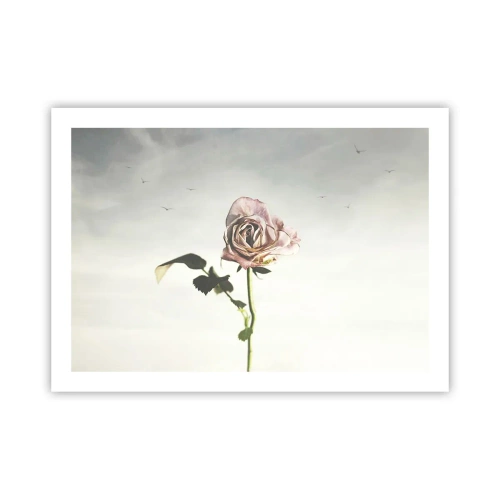 Pôster - Boas-vindas da primavera  - 70x50 cm