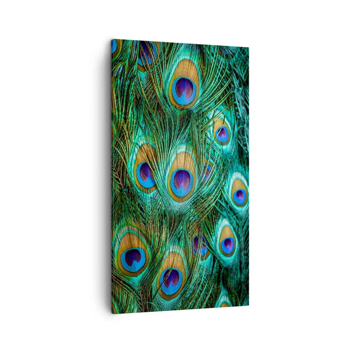 Quadro em tela - Um olhar de pavão - 45x80 cm