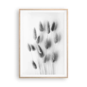 Pôster com moldura de carvalho claro - Grama fofa - 70x100 cm