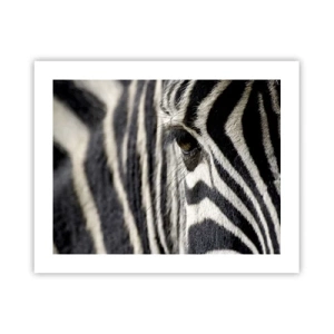 Pôster - Retrato em listras - 50x40 cm