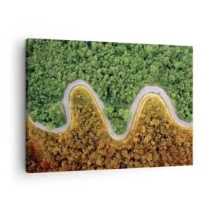 Quadro em tela - Uma estrada sinuosa através da floresta vista de um pássaro - 70x50cm - Fronteiras e descobertas - Decoração de parede moderna para a sala de estar e quarto ARTTOR