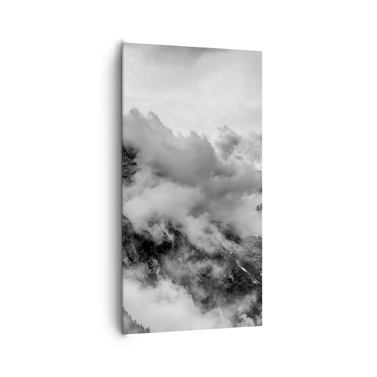 Quadro em tela - Bonitas e cruéis - 65x120 cm