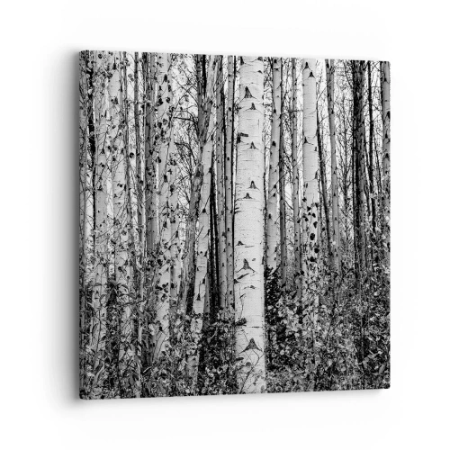 Quadro em tela - Colunata de bétula - 30x30 cm