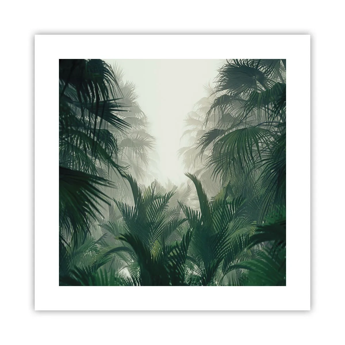 Pôster - Mistério tropical - 40x40 cm