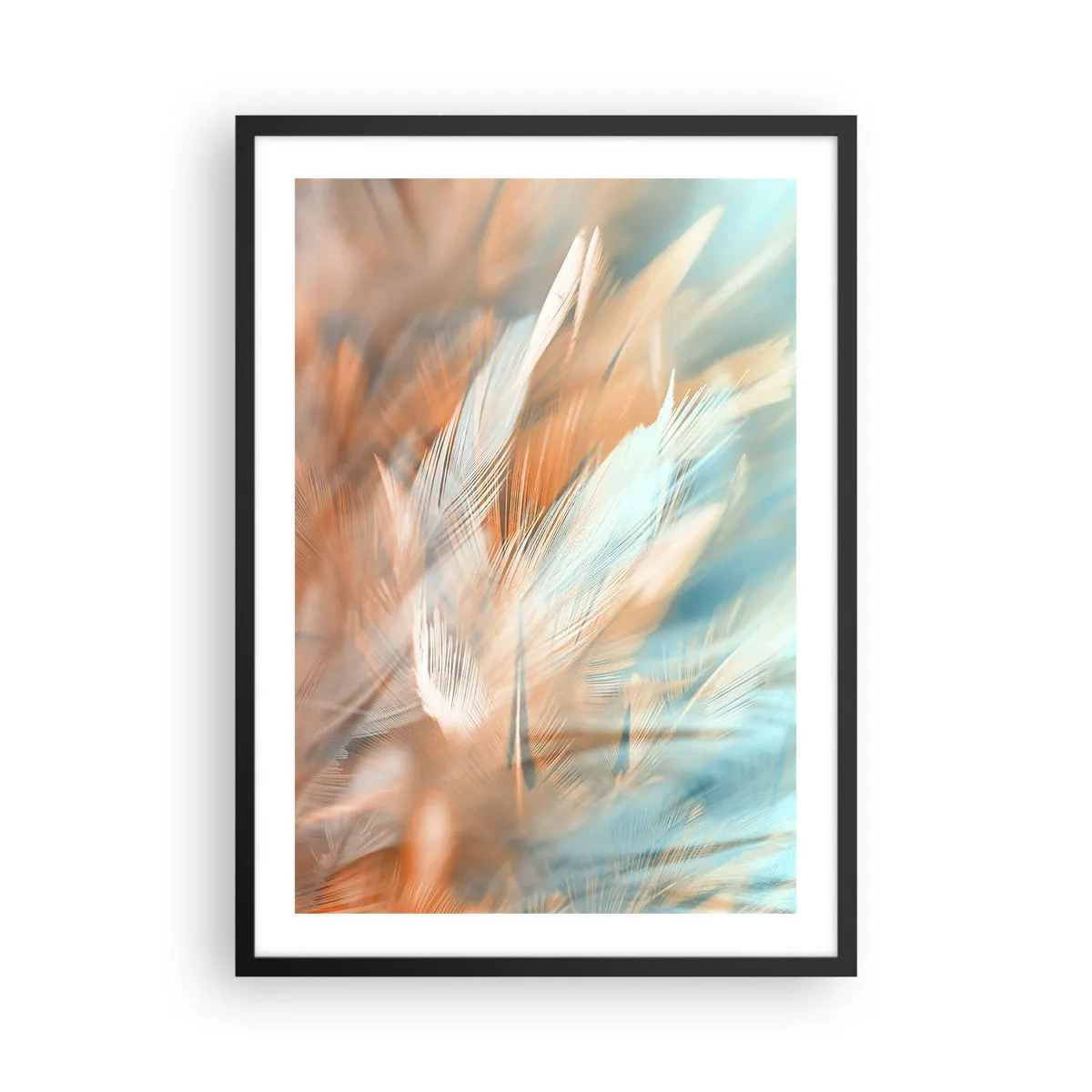 Pôster com moldura preta - Penas delicadas em tons de azul e pêssego - 50x70cm - Na terra da gentileza - Decoração de parede moderna para a sala de estar e quarto ARTTOR