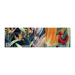 Amostra de papel de parede Premium Sand - Flores ardentes dos trópicos - Strelitzia real, Flor, África - 100x30 cm